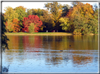 foto Parco Karlsaue in Autunno